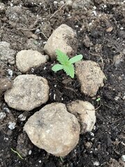 IMG_7756.jpeg