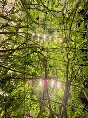 IMG_7850.jpeg