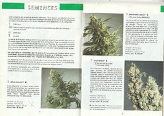 Sensiseed2