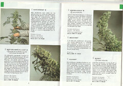 Sensiseed3