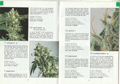 Sensiseed4