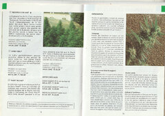 Sensiseed6