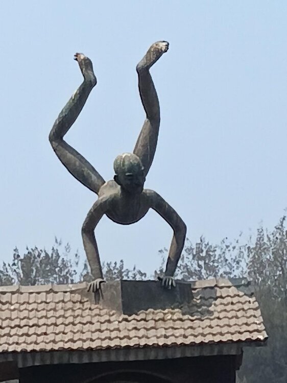 20260306_115929.jpg