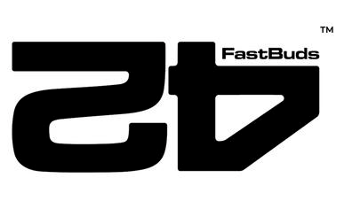 FastBuds 42.png