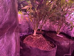 IMG_1580.jpeg