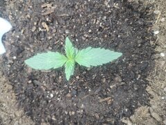 IMG_20260331_215614.jpg