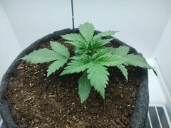 IMG_20260410_073628.jpg