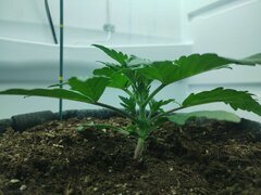 IMG_20260410_073645.jpg