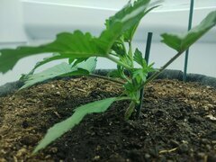 IMG_20260410_171014