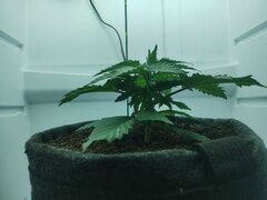 IMG_20260414_074131.jpg