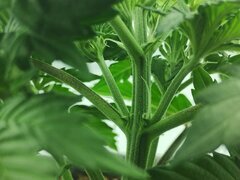 IMG_20260416_075944.jpg