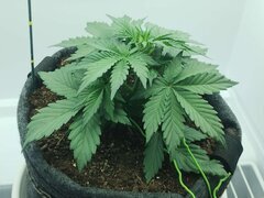 IMG_20260416_075952.jpg