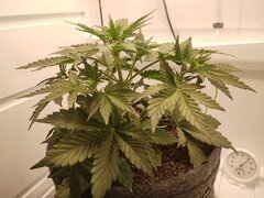 IMG_20260419_233957.jpg