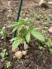 IMG_8191.jpeg