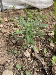 IMG_8200.jpeg