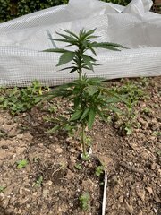 IMG_8201.jpeg