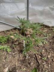 IMG_8204.jpeg