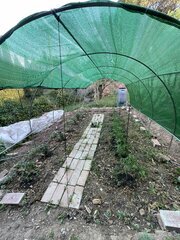 IMG_8569.jpeg