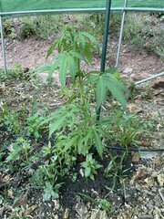 IMG_8571.jpeg