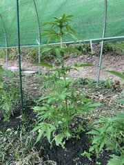 IMG_8573.jpeg