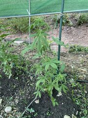 IMG_8574.jpeg