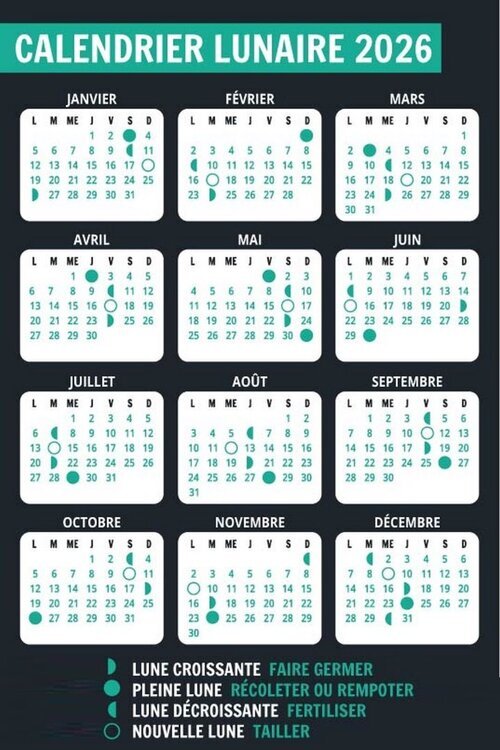 Calendrier lunaire 2026 plante.jpg