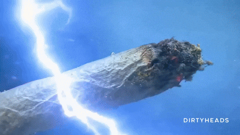 403307159_DirtyHeadsSmokingGIFbyBetterNoiseMusic(3).gif.eb7e5f686995e1d563b41c6b8c51bb00.gif