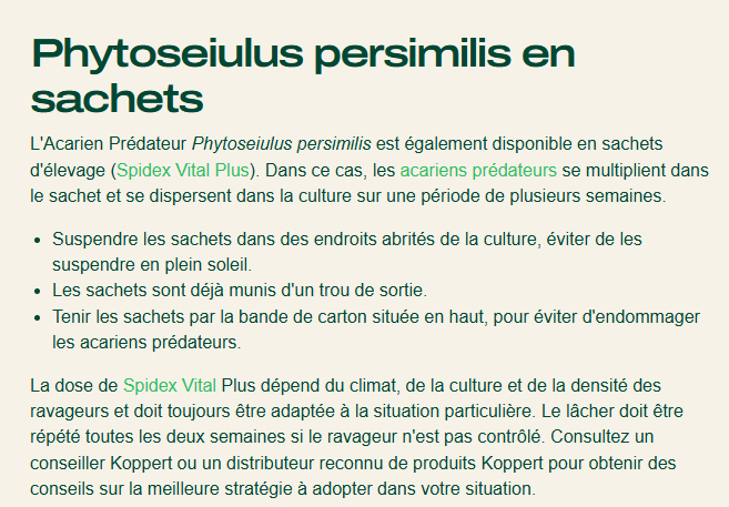 acarien predateur CW.png