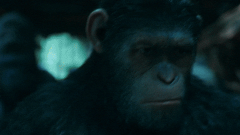 giphy.gif.c57b31601258012954a9b392ca3b9c0d.gif