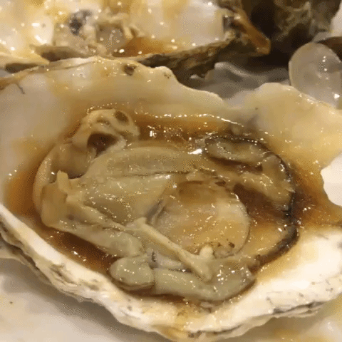 oyster.gif