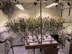 IMG_8619.jpeg