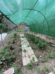 IMG_8662.jpeg