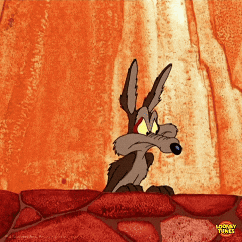Bip Bip et le Coyote.gif