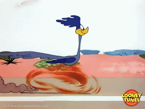 Beep beep coyote bouffe.gif