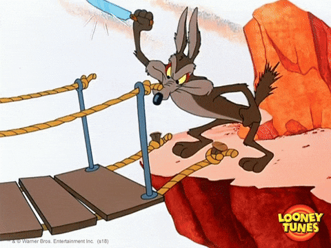 Beep beep et le coyote.gif