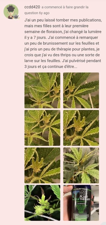 Screenshot_20260615_210547_Chrome.thumb.jpg.f759a3a17526018f2492130d57e995c7.jpg