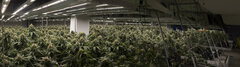 Panorama sans titre-1 copie