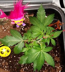 20260311_114143.jpg