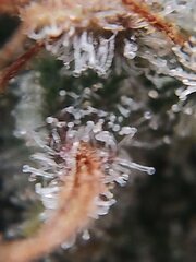 IMG_20260611_232354.jpg