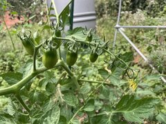 IMG_9422.jpeg