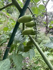 IMG_9423.jpeg