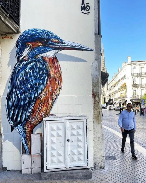 675351110_1373062744854482_5980960633972882704_n.jpg