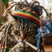 PafLeChat