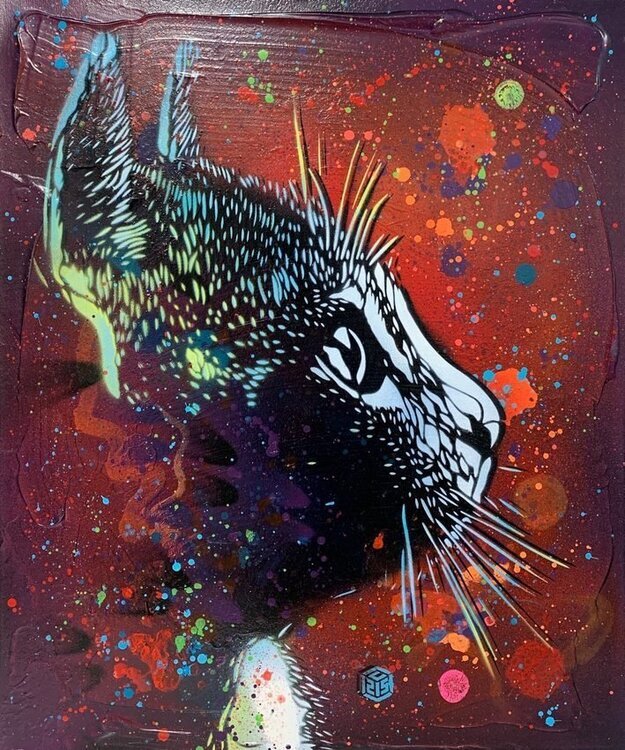 c215-oeuvre-street-art-connue-chat-de-profil.jpg