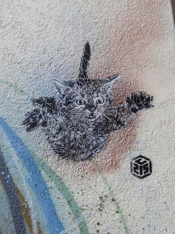 oeuvre-c215-street-art-675x900.jpg