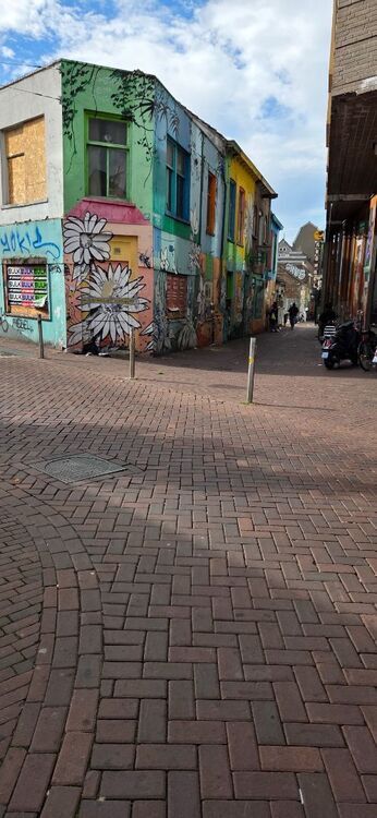 20260906_153153.thumb.jpg.91ae0142acf7eb5227945b8fc36ae8f4.jpg