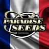 Paradise Seeds France