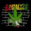 daweed