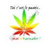 Yvelines_guest