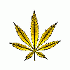 bonesprit
